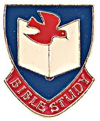 Bible Study Pin