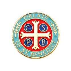 Oblate Lapel Pin