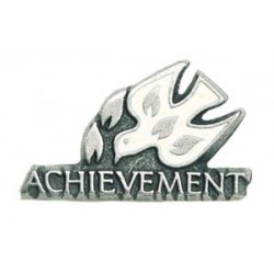 Achievement Lapel Pin