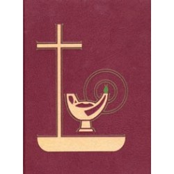 Lectionary for Weekday Mass Vol. III