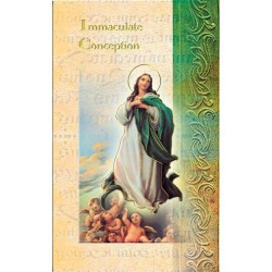 Biography of The Immaculate Heart