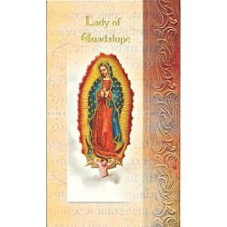 Biography of Our Lady of Guadalupe