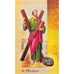 Biography of St Andrew