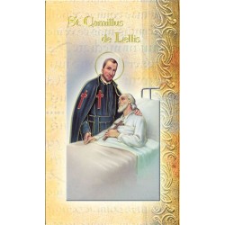 Biography of St Camillus de Lellis