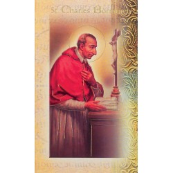 Biography of St Charles Borremeo