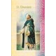 Biography of St Dominic