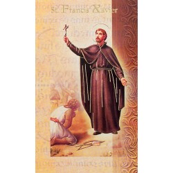 Biography of St Francis Xavier