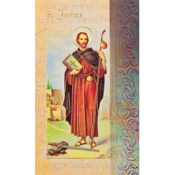 Biography of St James
