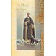 Biography of St Martin de Porres