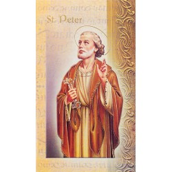 Biography of St Peter