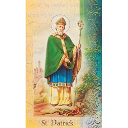 Biography of St Patrick