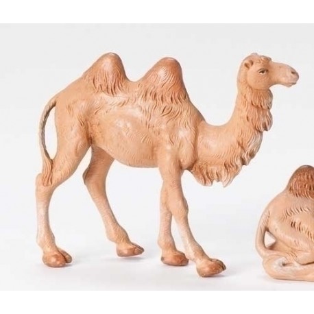 Camel-Fontanini