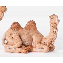 Camel-Fontanini