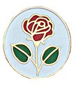 Rose Pin