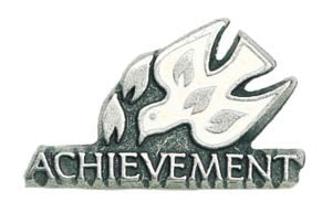 Achievement Lapel Pin