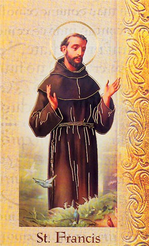 Biography of St Francis of Assisi