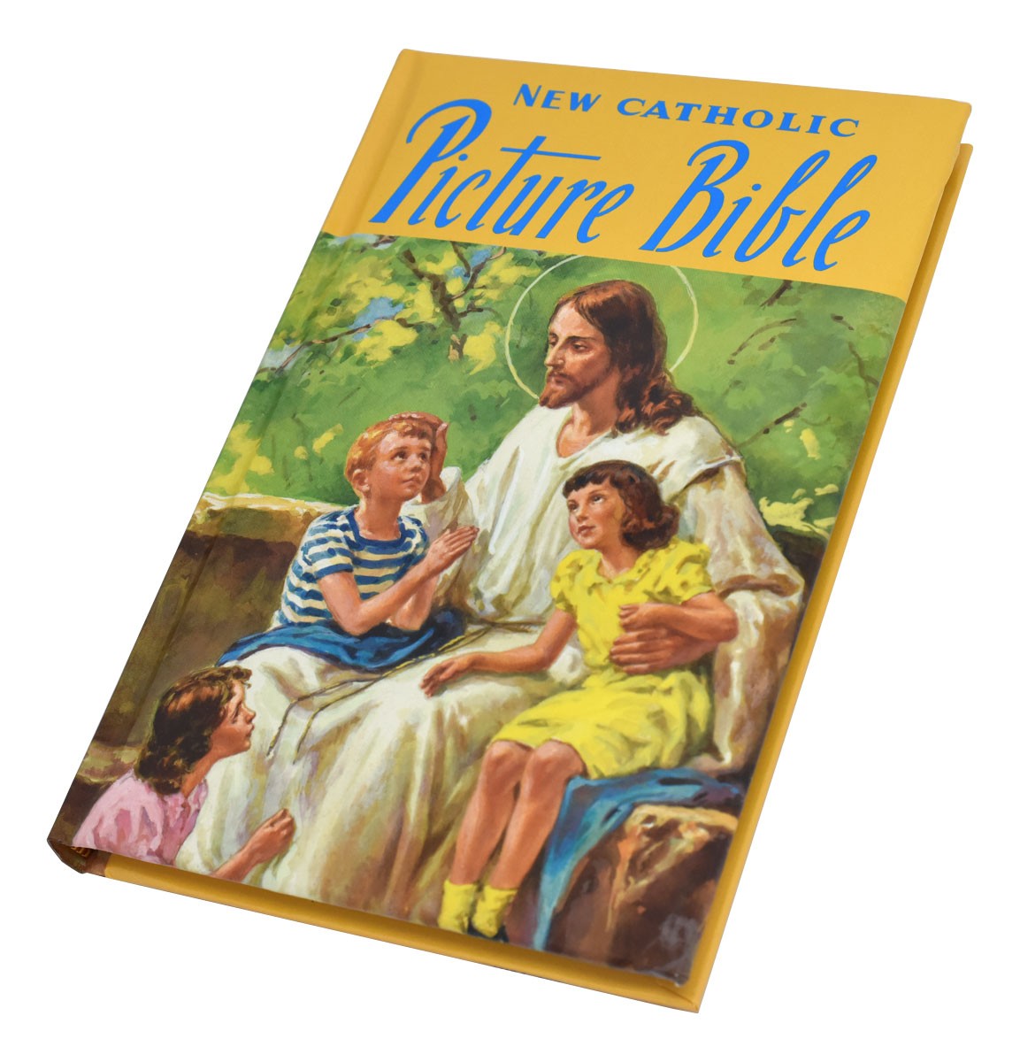 New Catholic Picture Bible