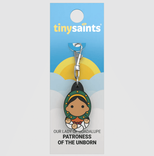 Our Lady of Guadalupe, Patroness of the Unborn